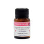 Cemento radio-opaco x 12 g ENDOMETACURE