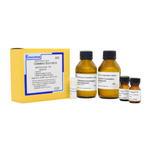 Colesterol Enzimático Reactivo Bioscience